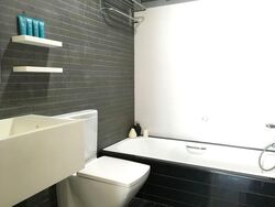 Park Infinia At Wee Nam (D11), Condominium #605329081